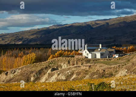 Das Weingut Restaurant, Mt Schwierigkeit Weinberg, Bannockburn, in der Nähe von Cromwell, Central Otago, Südinsel, Neuseeland Stockfoto