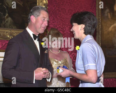 Prinz Charles überreicht Catherine Le Roy im St. James' Palace, London, eine Marie Curie-Krankenschwester des Jahres. Die vier Gewinner werden aus mehr als 4,000 Marie-Curie-Krankenschwestern im ganzen Land ausgewählt, die sich um krebskranke Menschen kümmern. Sie werden als Botschafter für ihre Kollegen fungieren * ... die Sensibilisierung und die Förderung der Wohltätigkeitsorganisation, die Heim- und Hospizpflege mit Forschung kombiniert. Stockfoto