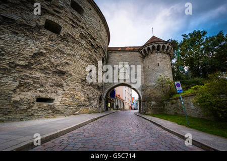 Historische Stadtmauern in der Altstadt, Tallinn, Estland. Stockfoto