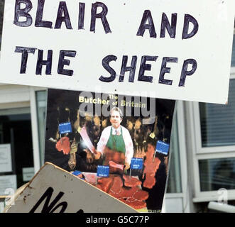 Auf Plakaten mit der Aufschrift „Blair und die Schafe“ versammeln sich die Demonstranten in Carlisle, um eine öffentliche Untersuchung des MKS-Ausbruchs zu fordern. Stockfoto