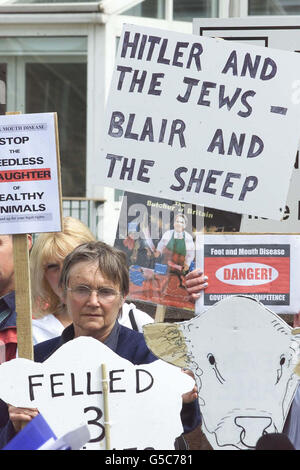 Demonstranten, auf Plakaten mit der Aufschrift "Hitler und die Juden - Blair und die Schafe", versammeln sich in Carlisle, um eine öffentliche Untersuchung des MKS-Ausbruchs zu fordern. Stockfoto