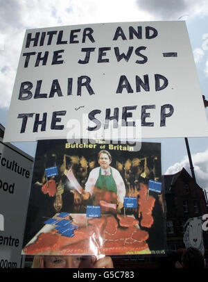 Demonstranten, auf Plakaten mit der Aufschrift "Hitler und die Juden - Blair und die Schafe", versammeln sich in Carlisle, um eine öffentliche Untersuchung des MKS-Ausbruchs zu fordern. Stockfoto