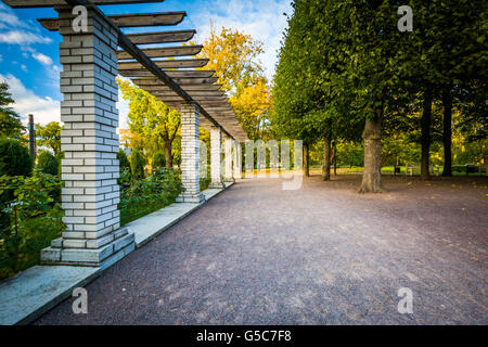 Spalier im Kadrioru Park in Tallinn, Estland. Stockfoto