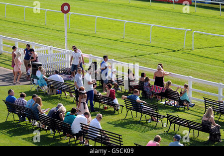 Pferderennen - Renn- und Musiknacht - Rennbahn Lingfield Park. Rennfahrer genießen die Sonne im Lingfield Park. Stockfoto