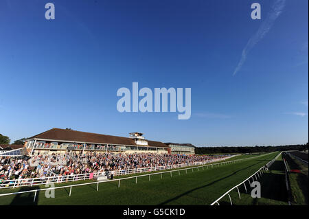 Pferderennen - Renn- und Musiknacht - Rennbahn Lingfield Park. Allgemeiner Blick über den Lingfield Park. Stockfoto