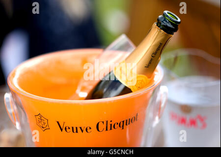 Pferderennen - 2012 Glorious Goodwood Festival - Ladies' Day - Goodwood Racecourse. Detail von Veuve Clicquot Champagner in einem Eiskübel auf der Goodwood Racecourse Stockfoto