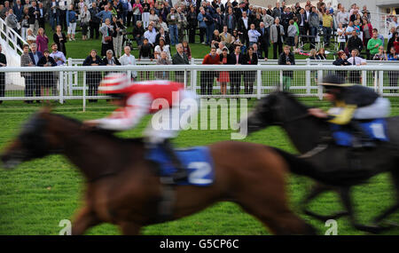 Pferderennen - Epsom Live! Letzte Nacht der Proms, Royal Philharmonic Concert Orchestra - Epsom Downs. Rennbesucher sehen sich die Action in Epsom LIVE an! Stockfoto