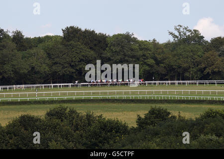 Pferderennen - 2012 Glorious Goodwood Festival - QIPCO Sussex Stakes - Goodwood Racecourse. Eine allgemeine Sicht auf die Läufer und Reiter im UBS Handicap Stockfoto