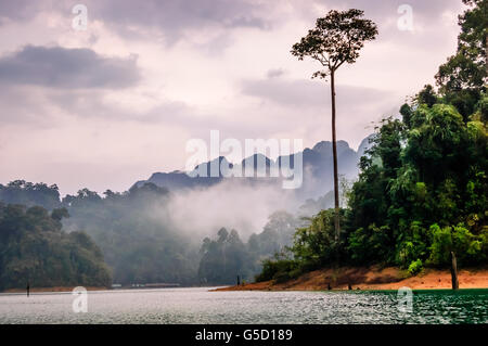 Misty Dämmerung über Cheow Lan Lake in Khao Sok National Park, Provinz Surat Thani, Thailand Stockfoto