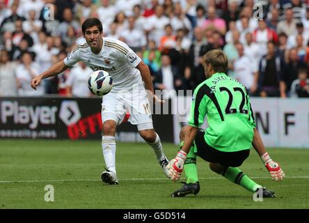 Fußball - Barclays Premier League - Swansea City V West Ham United - Liberty Stadium Stockfoto