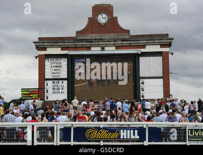 -William Hill großes St.Wilfrid Handicap Regattatag - Ripon Rennbahn Stockfoto