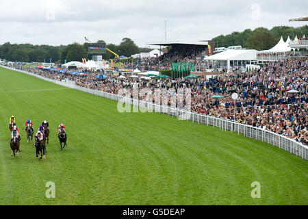 Pferderennen - 2012 Glorious Goodwood Festival - Blue Square Stewards Cup Day - Goodwood Racecourse. Eine allgemeine Ansicht, da die Läufer und Fahrer der Markel Insurance Nassau Stakes an den Ständen der Goodwood Racecourse vorbeikommen Stockfoto