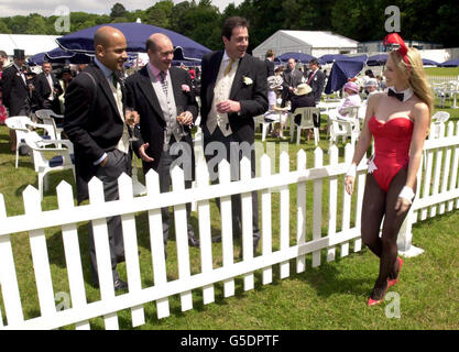 Royal Ascot Playboy Bunny Stockfoto