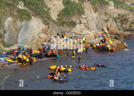 Mitglieder der Rettungsdienste versuchen, Pilotwale zurückzutreiben, nachdem sie in der Nähe von Pittenweem vor der Küste von Fife aufgehalten wurden. DRÜCKEN Sie VERBANDSFOTO. Bilddatum: Sonntag, 2. September 2012. Dreizehn Wale sind in der Massenstrandung gestorben. Die Säugetiere waren Teil einer Gruppe von 26 Grindwalen, die gestrandet waren. Die verbleibenden Wale werden von Tierärzten von British Divers und Marine Life Rescue (BDMLR) am Leben gehalten, mit Hilfe der Rettungsdienste einschließlich Fife Feuerwehr. Siehe PA Geschichte SEEWALE. Bildnachweis sollte lauten: Andrew Milligan / PA Wire Stockfoto