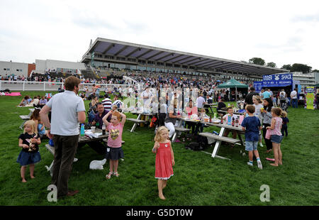 Pferderennen - Familientag - Sandown Park. Racegoers genießen ihren Tag im Sandown Park. Stockfoto