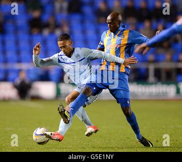 Fußball - Npower League One - Shrewsbury Town gegen Coventry City - indication Wiese Stockfoto