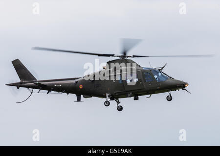 Belgische Luft Komponente Agusta A109BA Hirundo Stockfoto