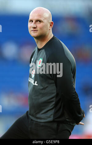 Fußball - FIFA Fußball-Weltmeisterschaft 2014 - Qualifikation - Gruppe A - Wales gegen Belgien - Cardiff City Stadium. John Hartson, Trainer aus Wales Stockfoto