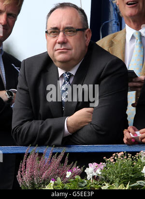 Schottlands erster Minister Alex Salmond beobachtet das Pferderennen während des William Hill beim Dumfries House Race Day (Ladies Day) auf der Ayr Racecourse in Ayrshire. Stockfoto