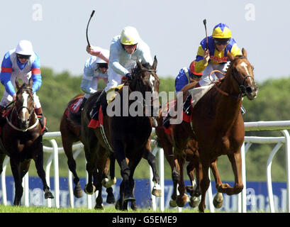 Erzherzog Ferdinand von Francis Norton (rechts) schlagen Cover Up von Kieren Fallon (Mitte), um die Foster's Lager Northumberland Plate zu gewinnen, auf der Rennbahn Newcastle Stockfoto