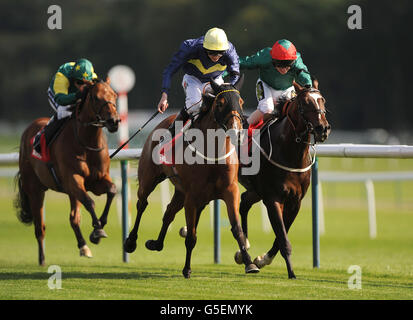 Thistle Bird (Mitte) mit James Doyle gewinnt die 45-jährige Betfred Superior Mile vor Fulbright (rechts), die Joe Fanning beim Betfred Sprint Cup Festival Raceday auf der Haydock Park Racecourse als Zweiter gefahren hat. Stockfoto