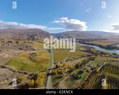 Weinberge, Felton Road, Bannockburn, und Kawarau Arm, Lake Dunstan, in der Nähe von Cromwell, Central Otago, Südinsel, Neuseeland - dr Stockfoto