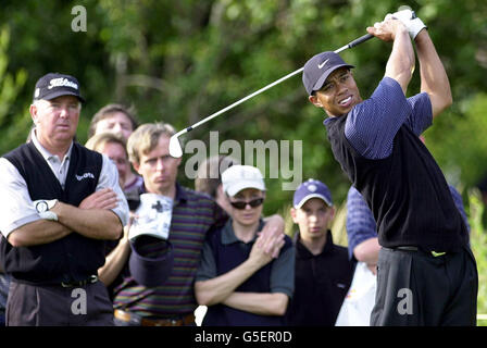 Open Golf Woods Stockfoto