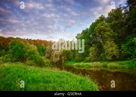 Bunte Sommerabend auf dem Bergfluss. Stockfoto