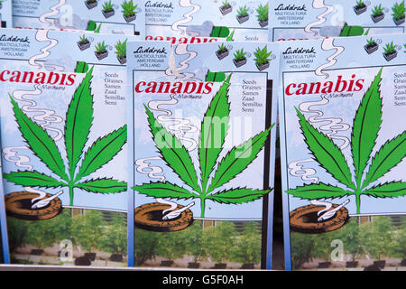 Nahaufnahme von Beuteln mit Cannabis-Samen für den Verkauf auf dem Blumenmarkt in der Innenstadt von Amsterdam, Niederlande. Stockfoto