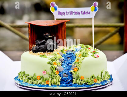 Erster Geburtstag Zoo Marken gorilla Stockfoto