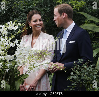 Der Herzog und die Herzogin von Cambridge betrachten eine Orchidee, die nach Prinz Wilhelms Mutter Diana, Prinzessin von Wales, benannt wurde, während ihres ersten Engagements in Singapur, im Rahmen einer neuntägigen Tour durch den Fernen Osten und den Südpazifik zu Ehren des Diamantenjubiläums der Königin. Stockfoto