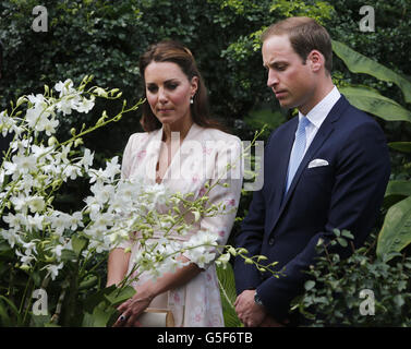 Der Herzog und die Herzogin von Cambridge betrachten eine Orchidee, die nach Prinz Wilhelms Mutter Diana, Prinzessin von Wales, benannt wurde, während ihres ersten Engagements in Singapur, im Rahmen einer neuntägigen Tour durch den Fernen Osten und den Südpazifik zu Ehren des Diamantenjubiläums der Königin. Stockfoto