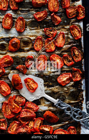 Getrocknete Tomaten Muster - Food & Drink Homemade getrockneten Tomaten mit Thymian, Salz und Olivenöl auf einem Tablett Stockfoto