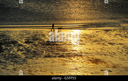 Ein Mann geht seinen Hund entlang Tynemouth Strand, North Tyneside, als die Sonne nach einer Woche von schlechtem Wetter aufgeht. Stockfoto