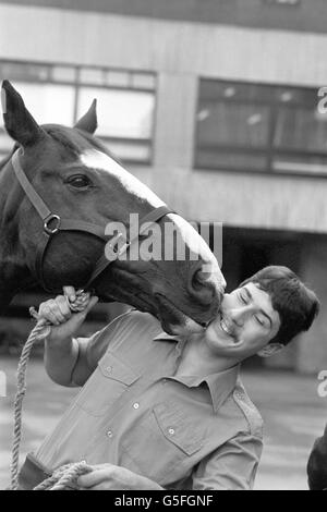 Trooper Michael Pederson wird von „Sefton“, dem Pferd der Blues und Royals, das er während des Bombenanschlags im Hyde Park im Jahr 1982 ritt, eine liebevolle Leck gegeben, als sie in den Knightsbridge Barracks in London wiedervereint werden. Stockfoto