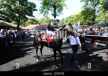 Horse Racing - Betfred Sprint Cup Festival - Tag 2 - Haydock Park Rennbahn Stockfoto