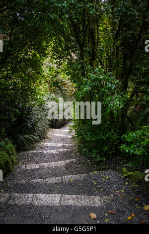 Die malerische subtropischen Trebah Gärten in Cornwall. Stockfoto