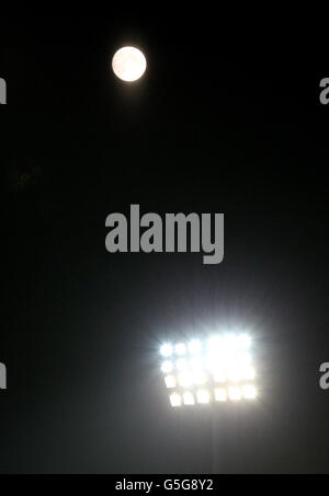 Rugby-Union - RaboDirect PRO 12 - Glasgow Warriors V Zebre - Scotstoun Stadion Stockfoto