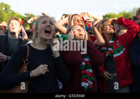 Wales Fußballfans bei der Wales-Unterstützer Fanzone in Coopers Feld, Cardiff, für die Euro 2016 Wales V Russland Spiel. Stockfoto