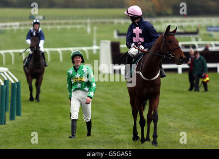 Pferderennen - Cheltenham Stockfoto