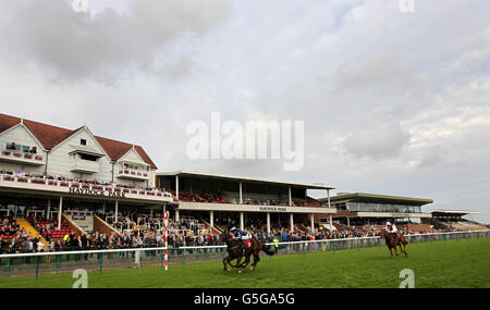 Pferderennen - Haydock Park Rennbahn Stockfoto