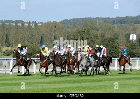 Pferderennen Sie-Towcester Rennen Stockfoto