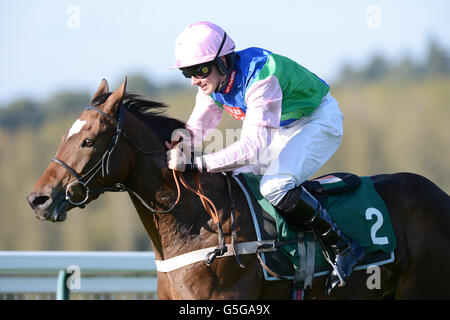 Pferderennen - Towcester Races. Jockey Jeremiah McGrath über die Belästigung während der Hürde der „National Hunt“-Novizen der Vollblut Breeders Association Mares Stockfoto