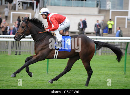 Giddy Heights von Darryl Holland im Nunnery Stud E.B.F. geritten Jungferneinsätze Stockfoto