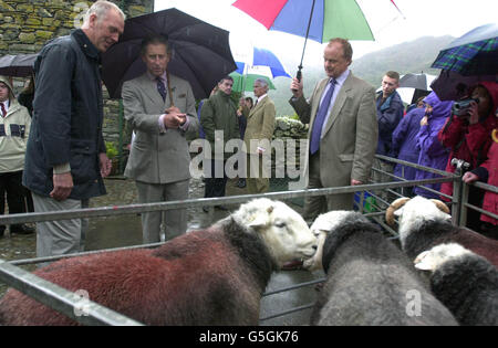 Britains Prince of Wales spricht mit Farmer Joseph Relph (L), während sie eine Feder von Herdwick Schafen sehen, während eines Besuchs in der Flock Tearoom auf Yew Tree Farm, in Rosthwaite in Borrowdale. Prinz Charles verbrachte den Tag in Cumbria. * wo er mit den Bauern vor Ort sprechen sollte, die seit Beginn des Ausbruchs im Februar von der Maul- und Klauenseuche betroffen sind, sowie mit den Menschen im Tourismushandel, die ebenfalls während der Krise gelitten haben. Stockfoto