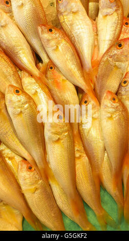 Nahaufnahme von roten Dorade in der Fisch-Basar Stockfoto