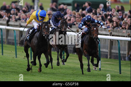 Pferderennen Sie - Dubai zukünftige Champions Day - Newmarket Racecourse Stockfoto