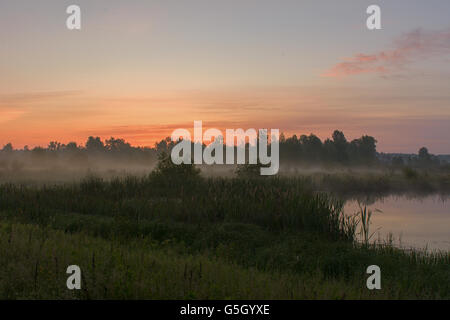 Sonnenaufgang über dem See Wiese Stockfoto