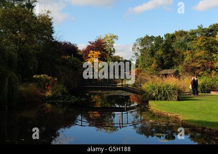 Herbstfarben im Burnby Hall Gardens, Pocklington, East Yorkshire. Stockfoto