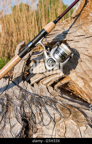 Angelrute mit Angeln Rollen auf dem natürlichen Hintergrund. Spinning und Fisch Stringer auf dem alten Baum mit braune Rinde. Stockfoto